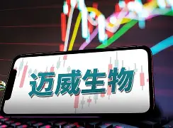 SHIB创下年内新高，上扬幅高达29.0%，还能追吗？